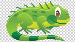 Chameleons Reptile Green iguana Lizard , lizard PNG clipart ...