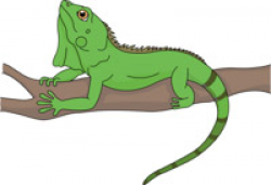 Reptiles Iguana Clipart Clipart - Clip Art Pictures ...