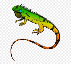 Iguana Clipart Pet Lizard - Iguanas Sticker - Png Download ...