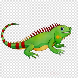 Green Background clipart - Lizard, Green, Iguana ...