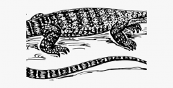 Monitor Lizard Clipart Black Yellow - Monitor Lizard Drawing ...