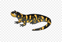 Fire Cartoon clipart - Lizard, Frog, Drawing, transparent ...