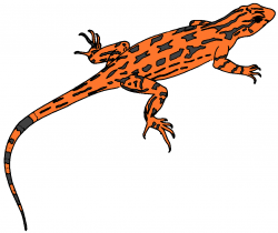 Clipart Lizard, Download Free Clip Art on Clipart Bay