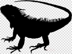 Dragon Background clipart - Lizard, Pet, Illustration ...