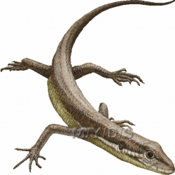 Lizard clipart realistic, Lizard realistic Transparent FREE ...
