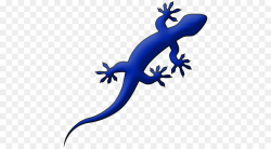 Lizard Web development Gecko Websites Web design - salamander