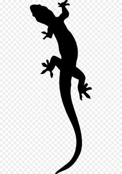 White Background clipart - Lizard, Silhouette, Line ...