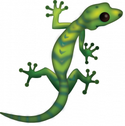 download-lizard-PNG-transparent-images-transparent ...