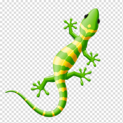 Green and yellow lizard illustration, Lizard Reptile Gecko ...