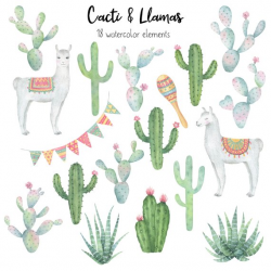 Cactus Llama Clipart, Cactus Watercolor, Alpaca Clipart, Llama Party ...