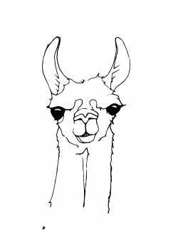 Free Llama Head Cliparts, Download Free Clip Art, Free Clip Art on ...