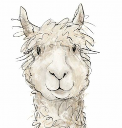 Cute Llama Head Clipart 41372 - Clip Art Library
