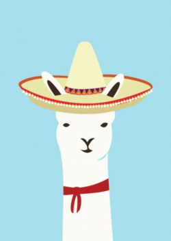 Mexican Llama. Illustrated by Alice Berry. | Llamas | Llama pictures ...