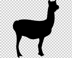 Llama Silhouette PNG, Clipart, Alpaca, Animal, Black And White ...