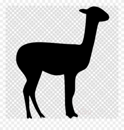 Download Llama Silhouette Transparent Clipart Llama - Vicuna ...
