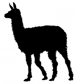 Llama Outline | Free download best Llama Outline on ClipArtMag.com