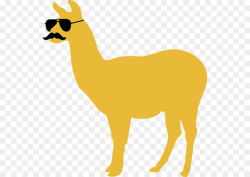 Llama Sunglasses Color Alpaca - sunglasses