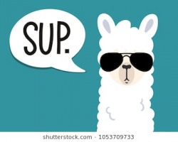 Llama with sunglasses clipart 2 » Clipart Station