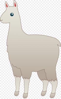 Sheep, Goats, Wildlife, transparent png image & clipart free download