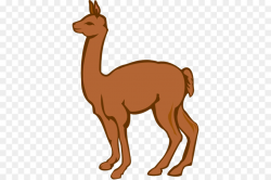 Llama Wildlife png download - 420*598 - Free Transparent Llama png ...