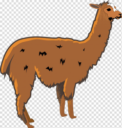 Llama Alpaca , Llama Head transparent background PNG clipart | HiClipart