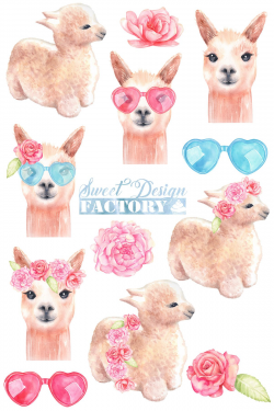 Llama watercolor clipart/ alpaca graphics/ watercolor clipart ...