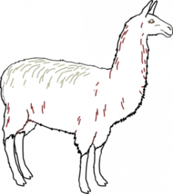Llama clipart 7 image - Clipartix