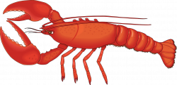 Lobster Clip Art Images | Clipart Panda - Free Clipart ...