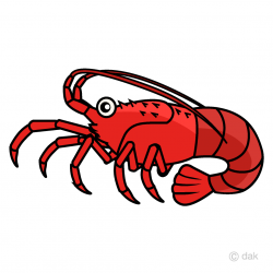 Free Spiny Lobster Clipart Image｜Illustoon