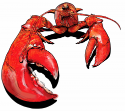 Animated Lobster | Free download best Animated Lobster on ...