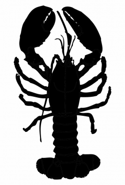 Lobster Sea Seafood Black Png Image - Transparent Background ...