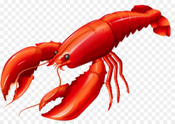 Shrimp Cartoon clipart - Crab, Food, transparent clip art
