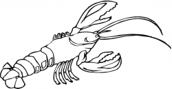 Free Lobster Clipart Black And White, Download Free Clip Art ...