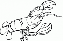 Free Lobster Images, Download Free Clip Art, Free Clip Art ...