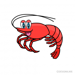 Free Shrimp Cartoon Image｜Illustoon