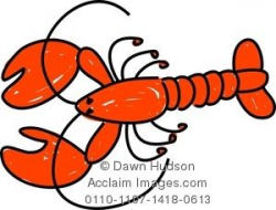 Pin by Rose Mangels on Ocean things | Lobster drawing ...