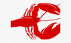 Crustacean Clipart Lobster Tail - Transparent Lobster ...