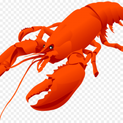 Seafood Background clipart - Crab, Orange, Food, transparent ...