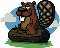 Amazon.com: Lazy Beaver on Log Cartoon Icon Vinyl Decal ...