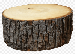 Logs - Chopped Log, HD Png Download - 1788x1332 (#344524 ...