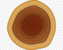 Tree Drawing clipart - Wood, Tree, Circle, transparent clip art