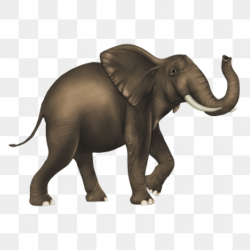 Elephant PNG Images, Download 2,329 Elephant PNG Resources ...