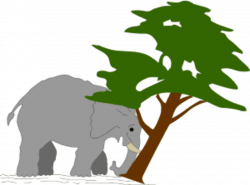 How STRONG is an Elephant - KID ZONE at ELEFUNTERIA