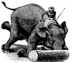 Elephant | ClipArt ETC
