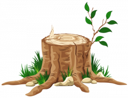 Pin by Gift Gift on ต้นไม้ | Clip art, Cartoon trees, Tree stump