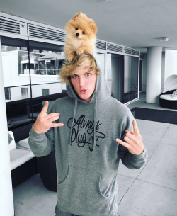Logan Paul on Twitter: \