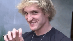 Logan Paul Tiger GIF - LoganPaul Tiger Rawr - Discover & Share GIFs