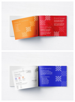 65+ Brand Guidelines Templates, Examples & Tips For ...