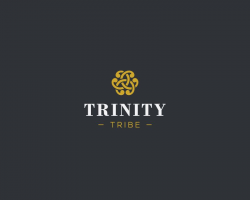 Elegant logo design proposal for Trinity. | Elegant logo ...