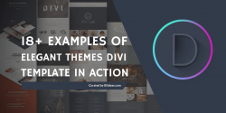 18 Examples of Elegant Themes Divi WordPress Theme 2019